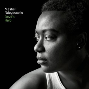 Artistic photograph of singer Meshell Ndegeocello for the cover of her album, Comet.