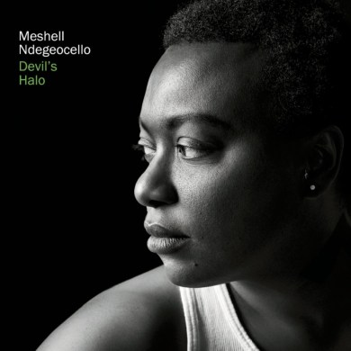 Artistic photograph of singer Meshell Ndegeocello for the cover of her album, Comet.