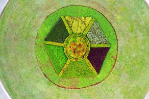 Abstract painting of digital gardening