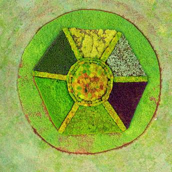 Abstract painting of digital gardening